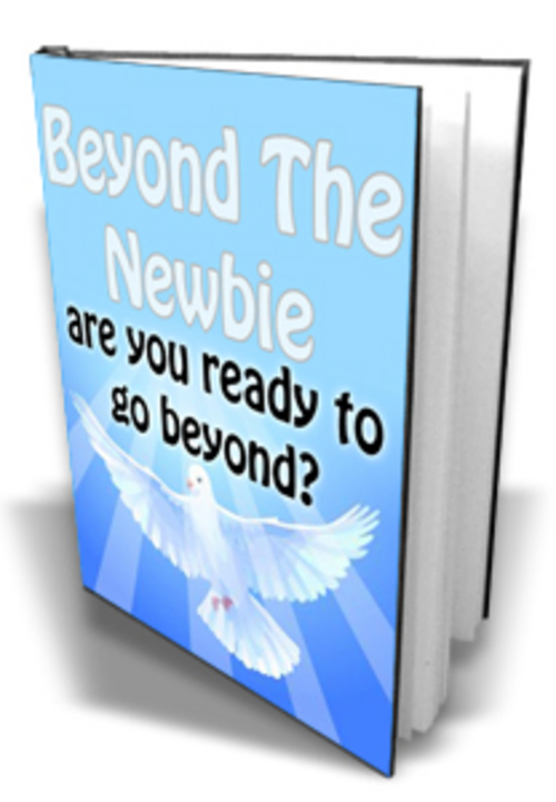 Product picture Beyond The Newbie with MRR